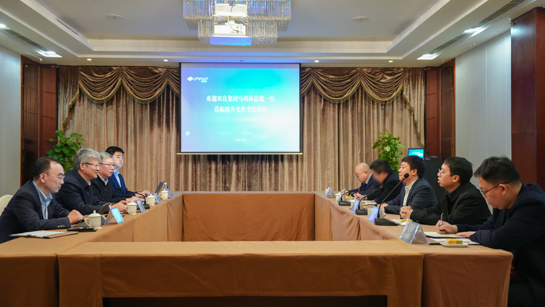 双良集团马培林总裁一行莅临琏升光伏考察交流